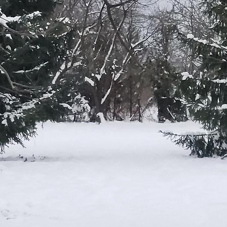 Вилла Buglandia Parosla Экстерьер фото
