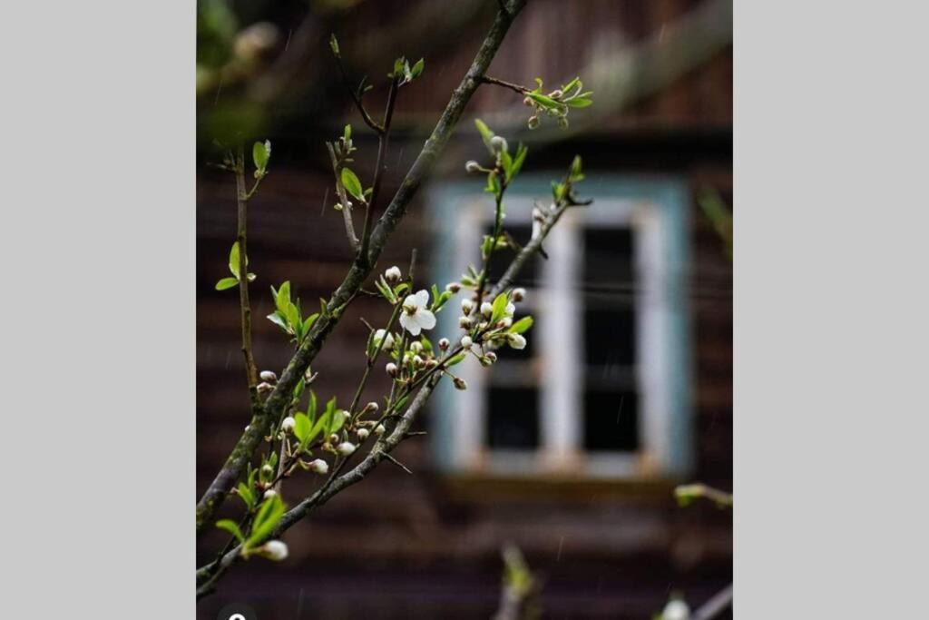 Вилла Buglandia Parosla Экстерьер фото